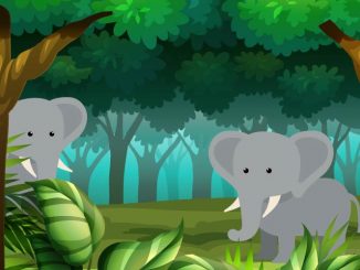 Two white elephants in the jungle